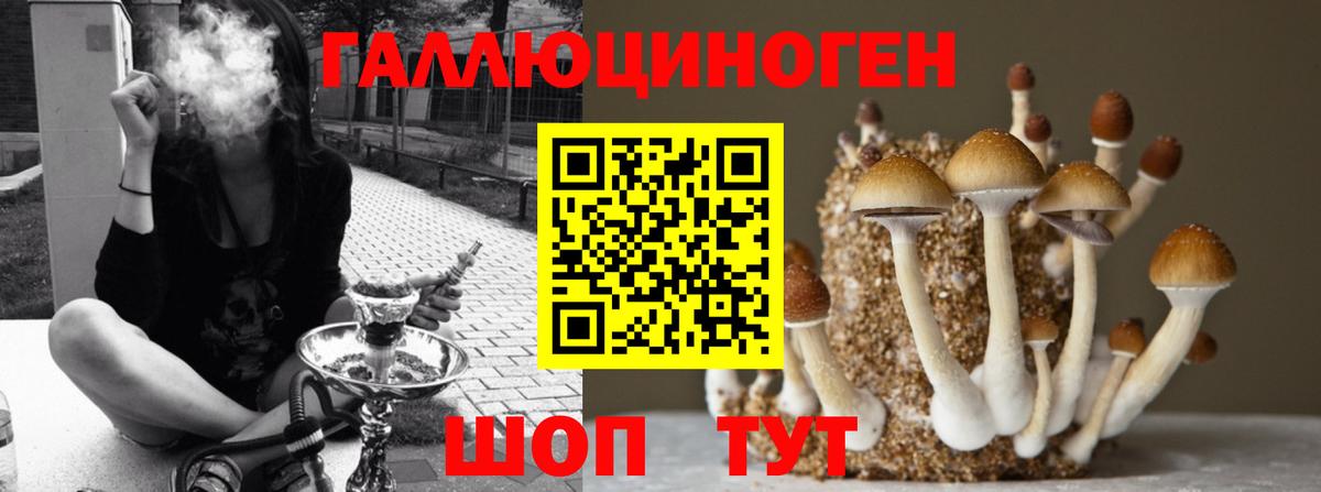 Псилоцибиновые грибы Magic Shrooms Дальнегорск